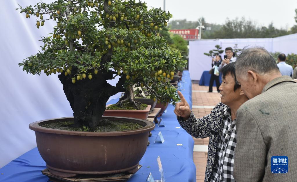 俄罗斯娱乐平台安全吗?